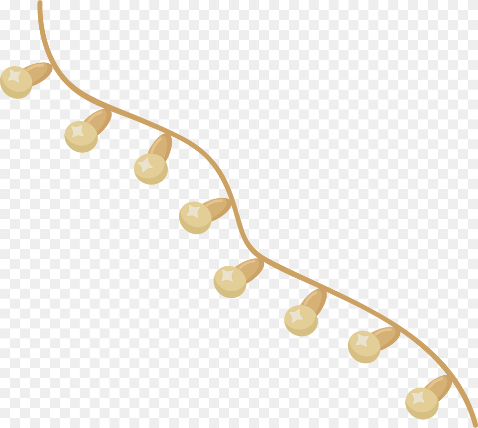 Wedding String Lights Clipart, Accessories, Necklace, Jewelry, Earring Png