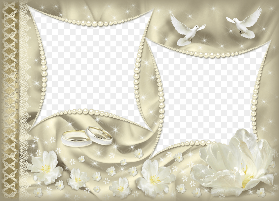 Wedding Pictures Icons Wedding Anniversary Photo Frame Hd, Animal, Bird, Accessories, Flower Free Transparent Png