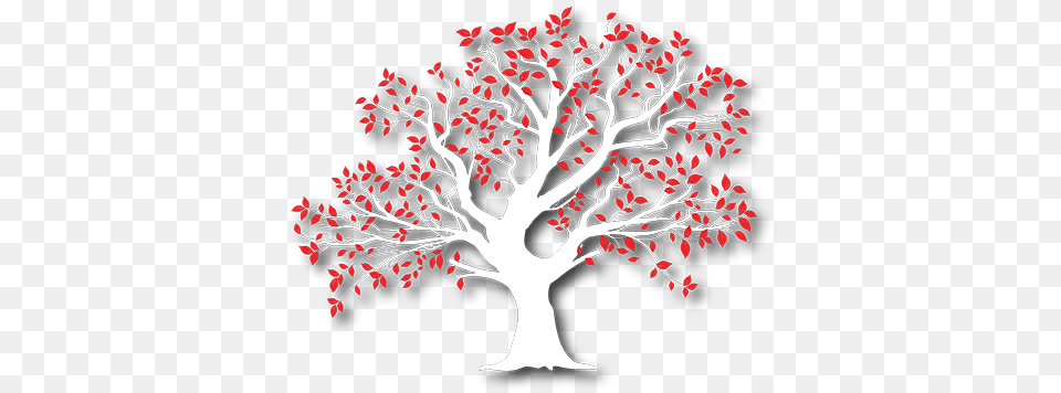 Weddings Redtree Photography Illustration, Plant, Tree, Art, Person Png