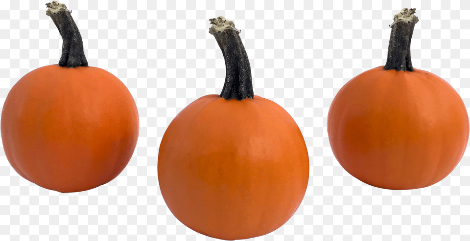 Weeb 1 Pumpkin, Food, Plant, Produce, Vegetable Free Transparent Png