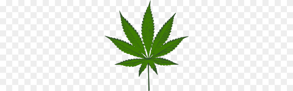 Weed, Leaf, Plant, Hemp Free Png