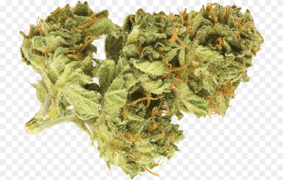 Weed Bud, Plant, Grass, Leaf Png