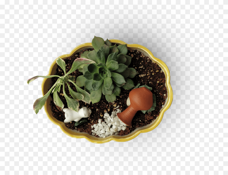 Weed Bud, Vase, Soil, Pottery, Potted Plant Png Image