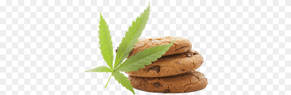 Weed Cannabis Lead And Cookies Edible Cbd, Food, Leaf, Plant, Sweets Png Image