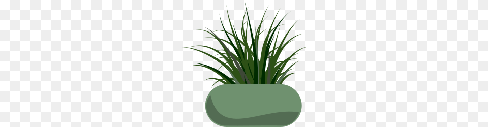 Weed Clip Art Download Clip, Flax, Vase, Pottery, Potted Plant Png Image