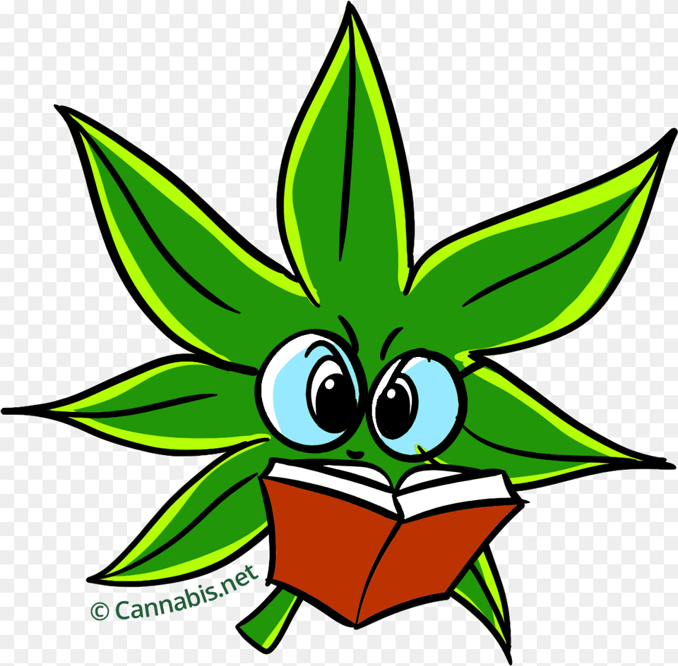 Weed Clipart Cartoon Transparent Marijuana Leaf Cartoon, Green, Plant, Art, Graphics Free Png