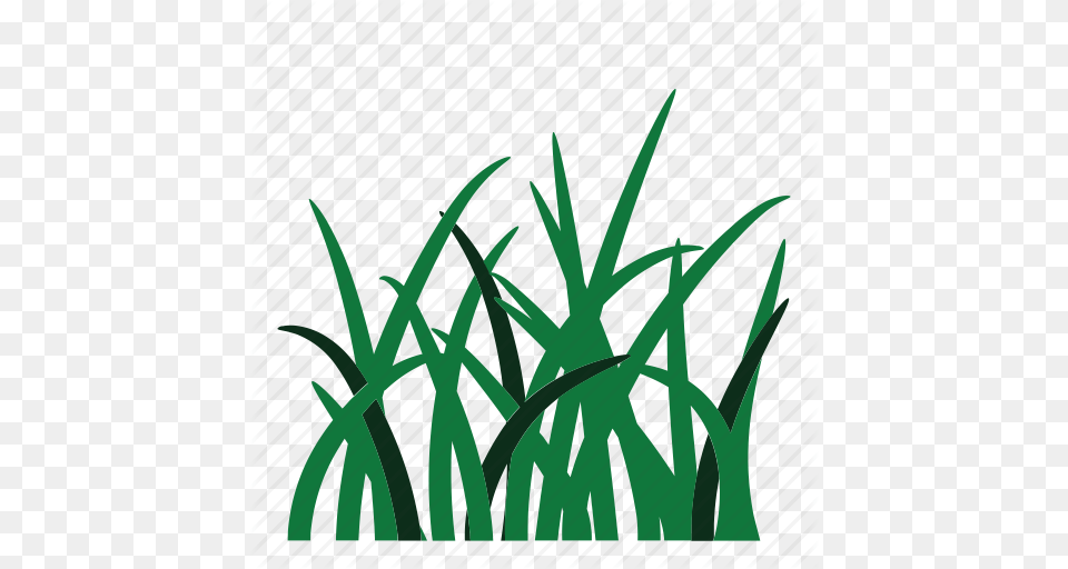 Weed Clipart Grass Root, Green, Plant, Vegetation, Lawn Free Png Download