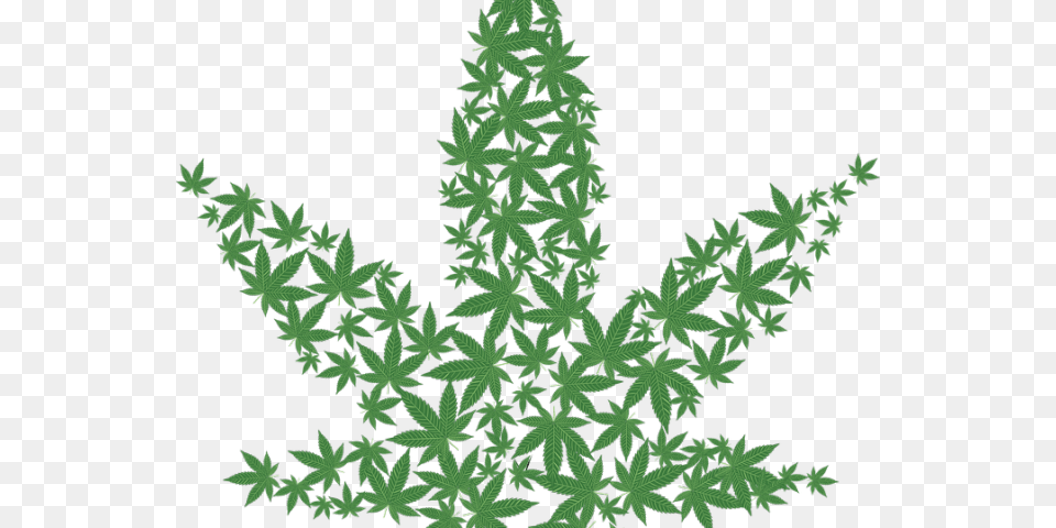 Weed Clipart Illegal Drug Marijuana Clipart, Leaf, Plant, Tree, Green Png Image