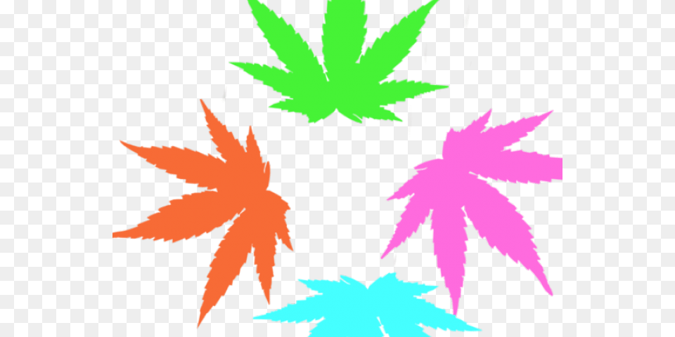 Weed Clipart Rainbow Rainbow Weed Leaf, Plant, Tree, Person, Face Free Transparent Png
