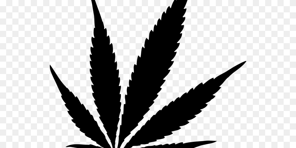 Weed Clipart Weed Leaf, Gray Free Png Download