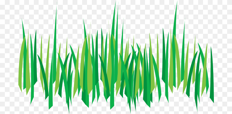 Weed Control Tempe Az Background Cartoon Grass, Green, Plant, Leaf, Vegetation Free Transparent Png