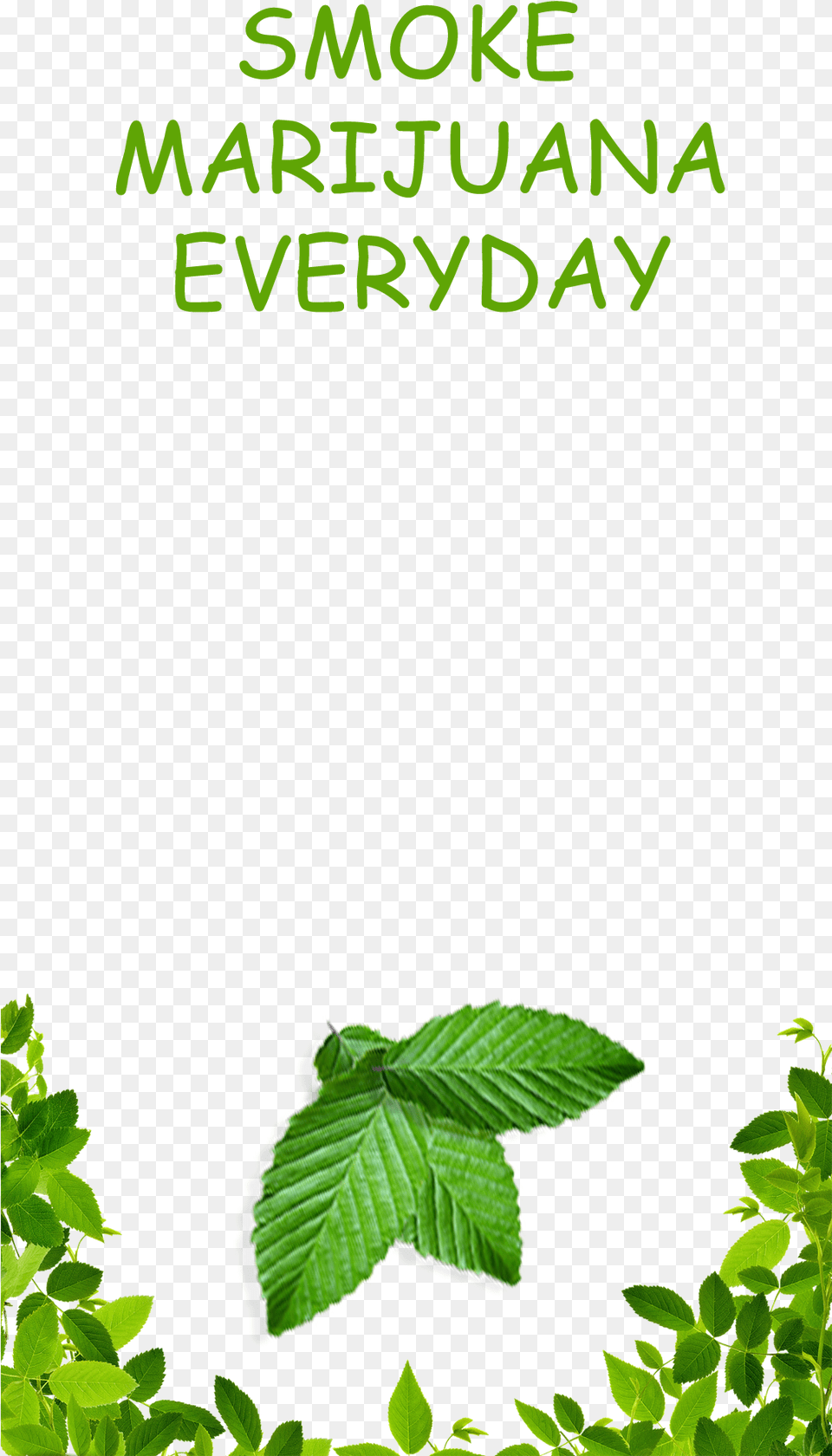 Weed Custom Snapchat Filter, Green, Herbal, Herbs, Leaf Png
