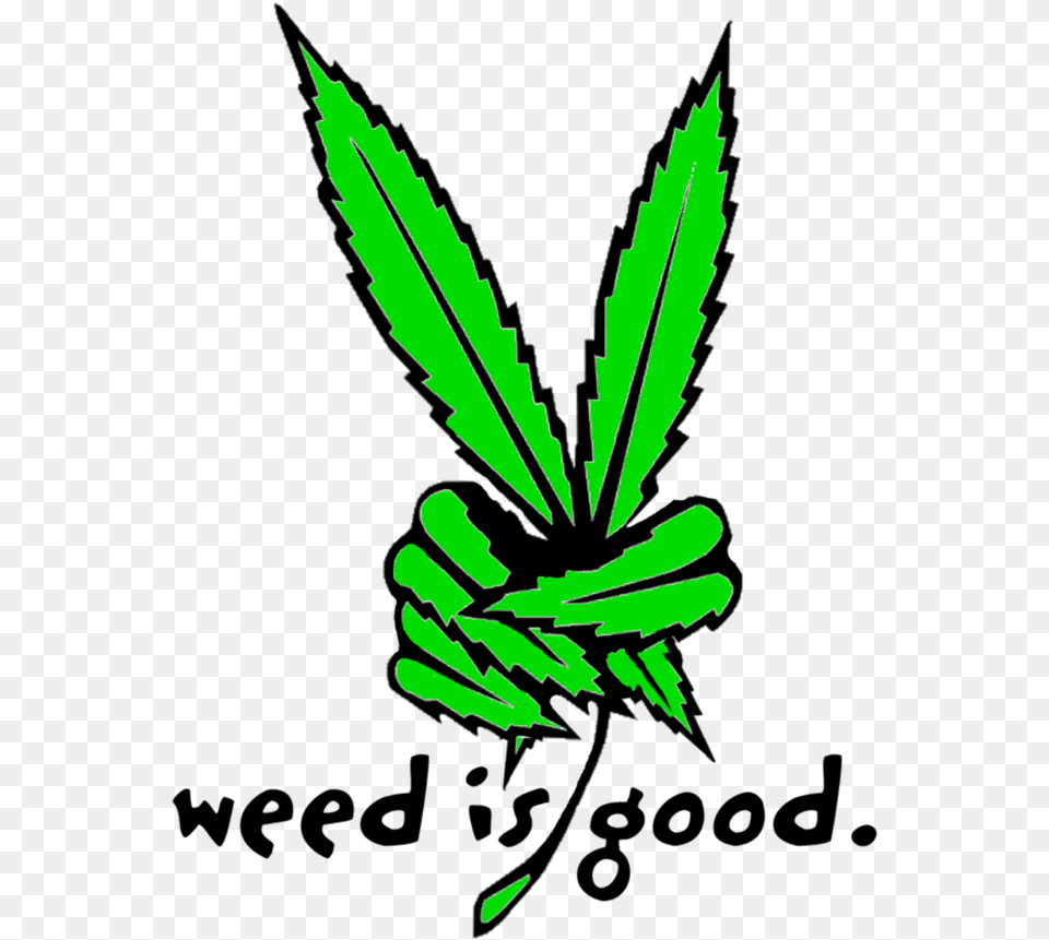 Weed Funny, Green, Leaf, Plant, Hemp Png Image