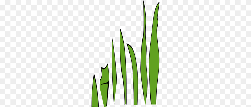 Weed Grass Clip Art Clipart Weed Clip Art Plant Grass, Green, Leaf Free Transparent Png