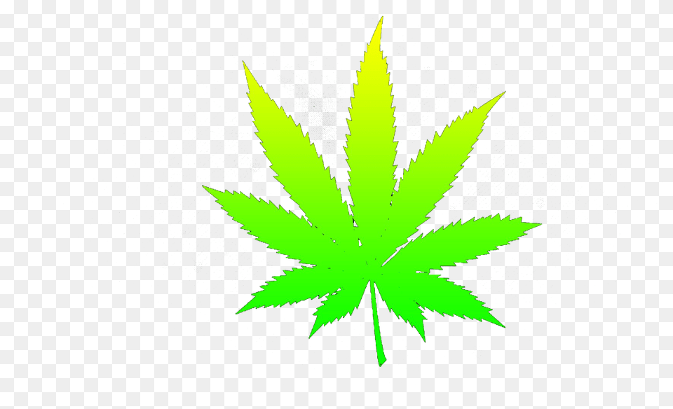 Weed Hd Transparent Weed Hd Cannabis, Leaf, Plant, Animal, Bird Png