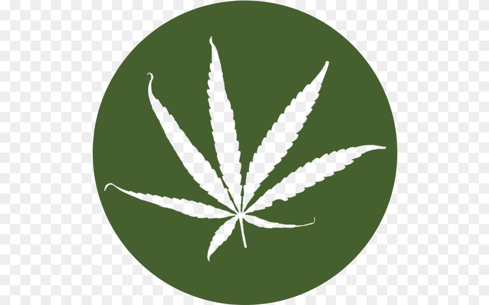 Weed Icon, Leaf, Plant, Hemp Png Image