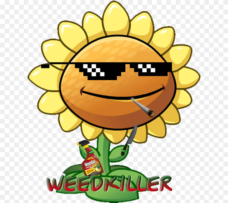 Weed Killer Plants Vs Zombie 2, Flower, Plant, Sunflower, Dynamite Free Png