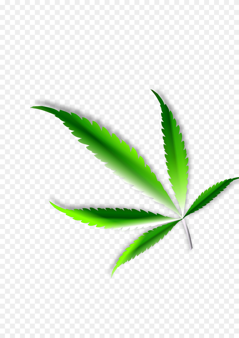 Weed Leaf, Plant, Herbal, Herbs, Animal Free Png