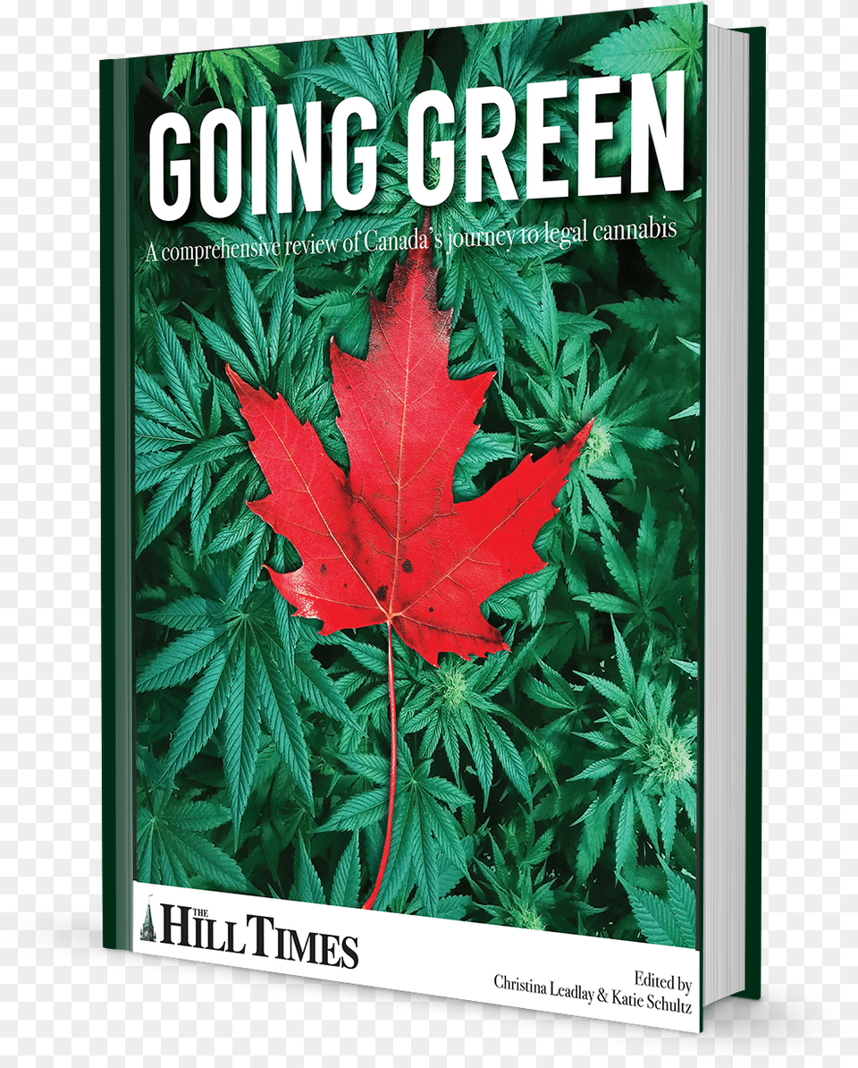 Weed Leaf, Plant, Tree, Vegetation, Maple Free Png