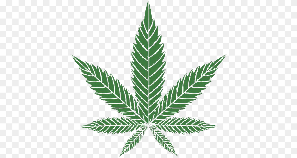 Weed Leaf Cannabis, Herbal, Herbs, Plant, Hemp Free Png Download