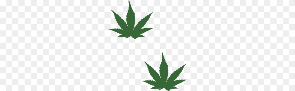 Weed Leaf Clip Art, Plant Free Png Download