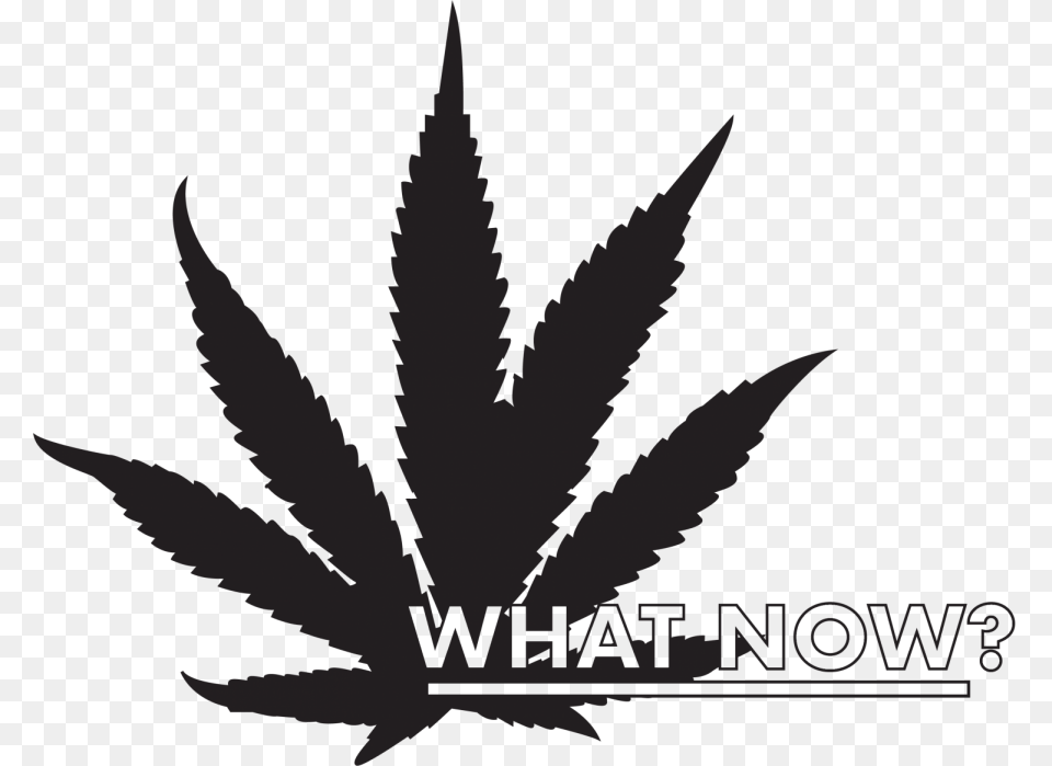 Weed Leaf Marijuana Leaf Clipart, Plant Free Png