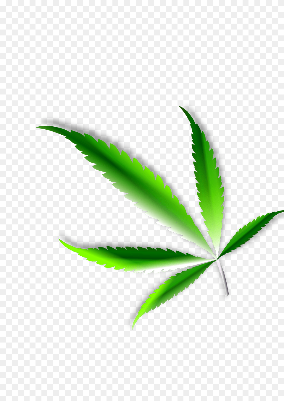Weed Leaf Transparent Cannabis Leaf Transparency, Plant, Herbal, Herbs, Animal Free Png