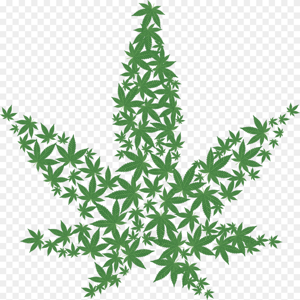 Weed Leaf Transparent Marijuana Leaf Transparent, Plant, Tree, Green, Vegetation Png Image