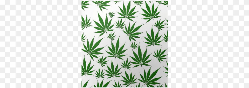 Weed Leaves White Background, Herbal, Herbs, Leaf, Plant Free Png