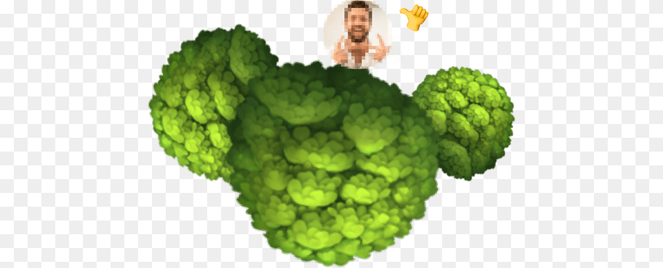 Weed Made Of Trees Venmo, Green, Produce, Food, Adult Png