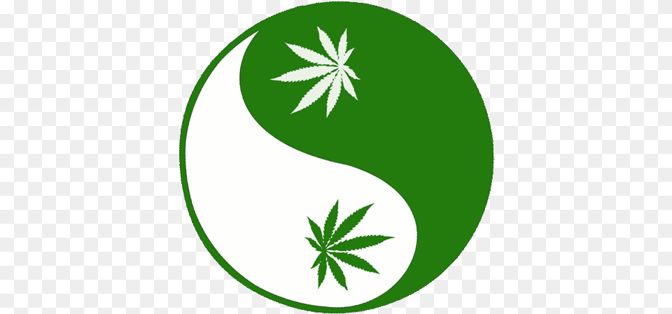 Weed Marijuana Animated Gif Images Animated Marijuana, Herbal, Herbs, Plant, Leaf Free Transparent Png