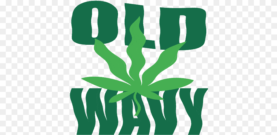 Weed Marijuana Animated Gif Images Best Animations Weed Wavy, Green, Plant, Leaf, Person Png Image