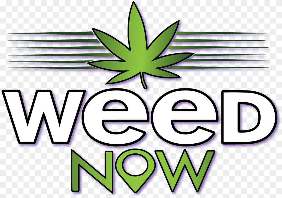 Weed Now, Logo, Purple, Dynamite, Weapon Free Png Download