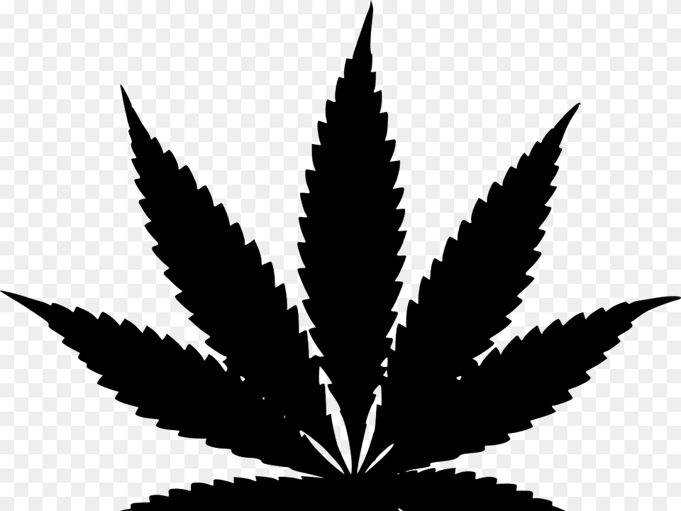 Weed Plant Vector, Gray Free Transparent Png