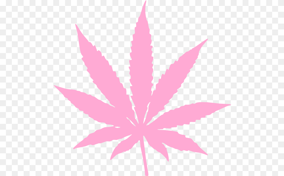 Weed Plant Vector Pot Leaf, Person Free Transparent Png