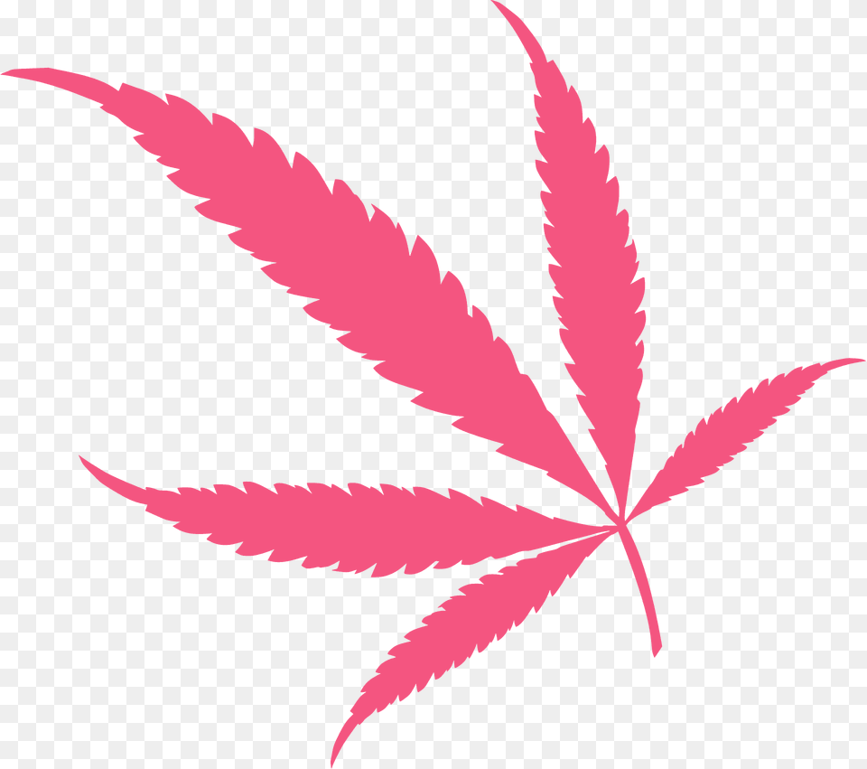 Weed Silhouette, Leaf, Plant Free Png Download