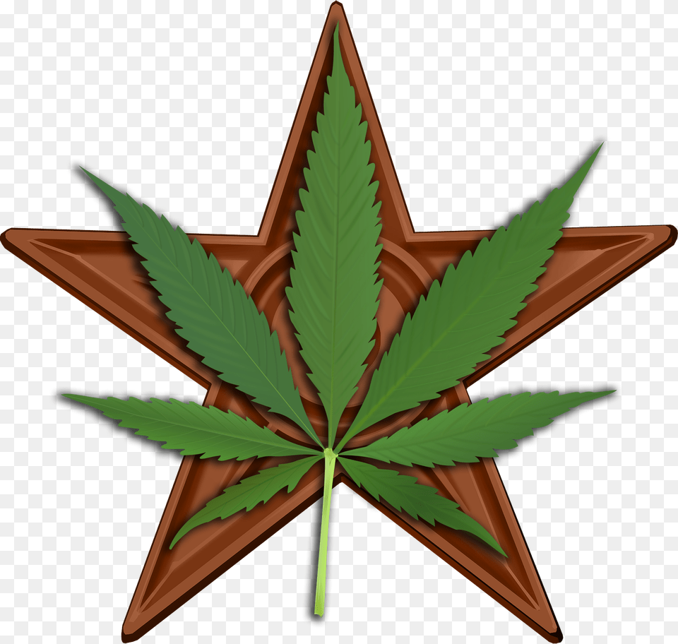 Weed Symbol, Leaf, Plant, Person Free Png
