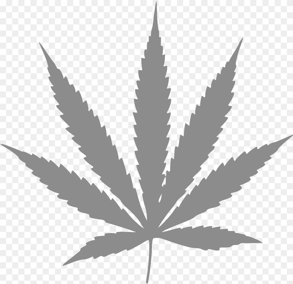 Weed Symbol, Leaf, Plant Png
