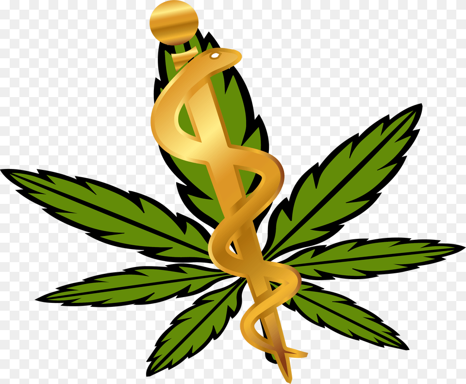 Weed Vector, Leaf, Plant Png