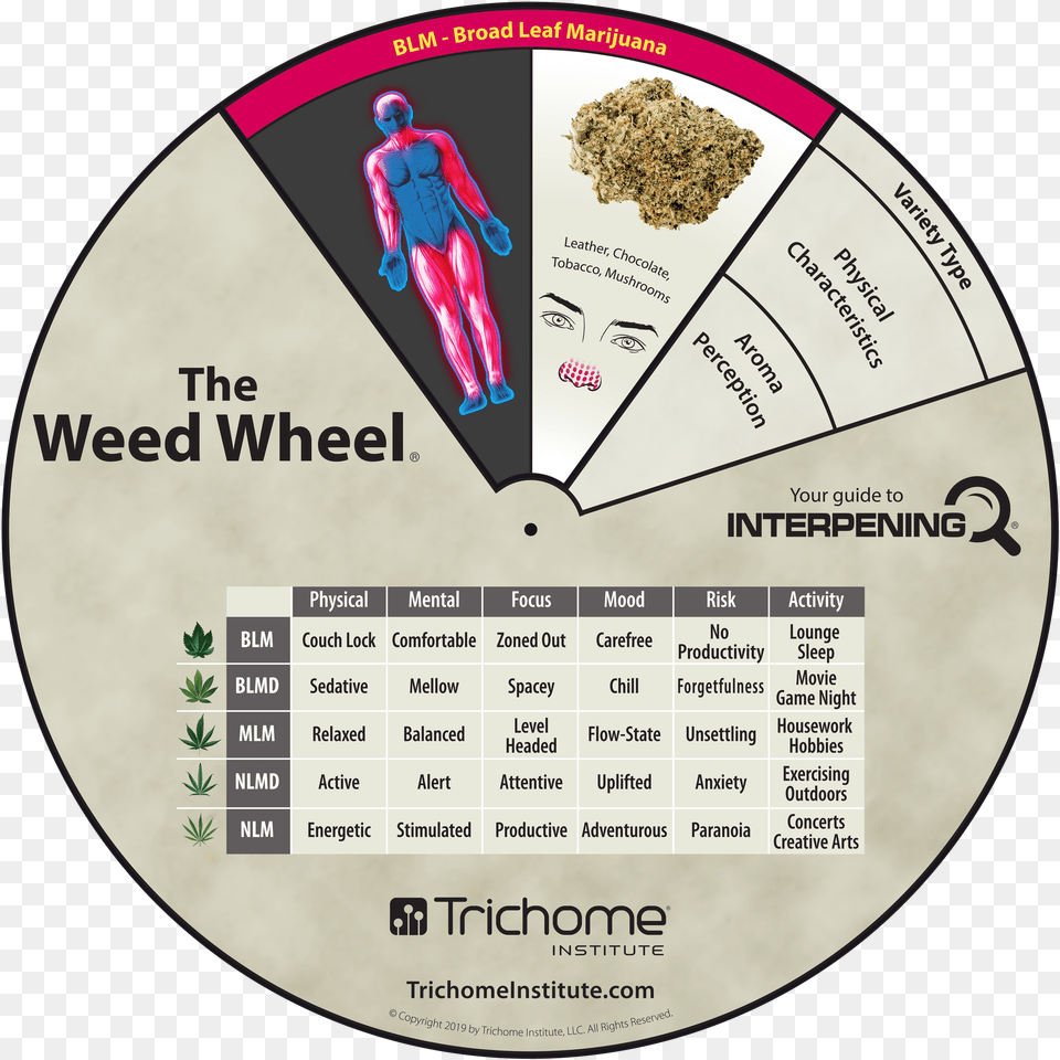 Weed Wheel, Adult, Male, Man, Person Free Transparent Png