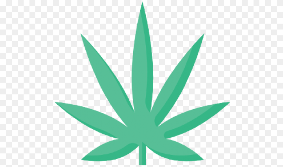 Weed Winnipeg Archives Cannabismedicaldictionarycom Need A Smoking Partner Meme, Leaf, Plant, Animal, Fish Free Transparent Png