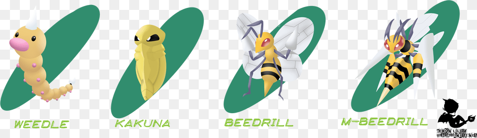 Weedle Evolutions Illustration, Animal, Bee, Insect, Invertebrate Free Png Download