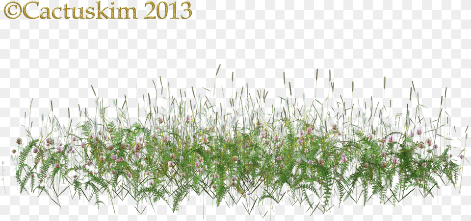 Weeds 6 Image Tall Grass Flowers, Plant, Vegetation, Moss, Lawn Free Png Download