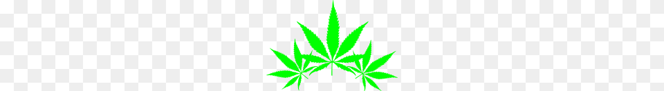 Weeds, Leaf, Plant, Weed, Animal Free Transparent Png