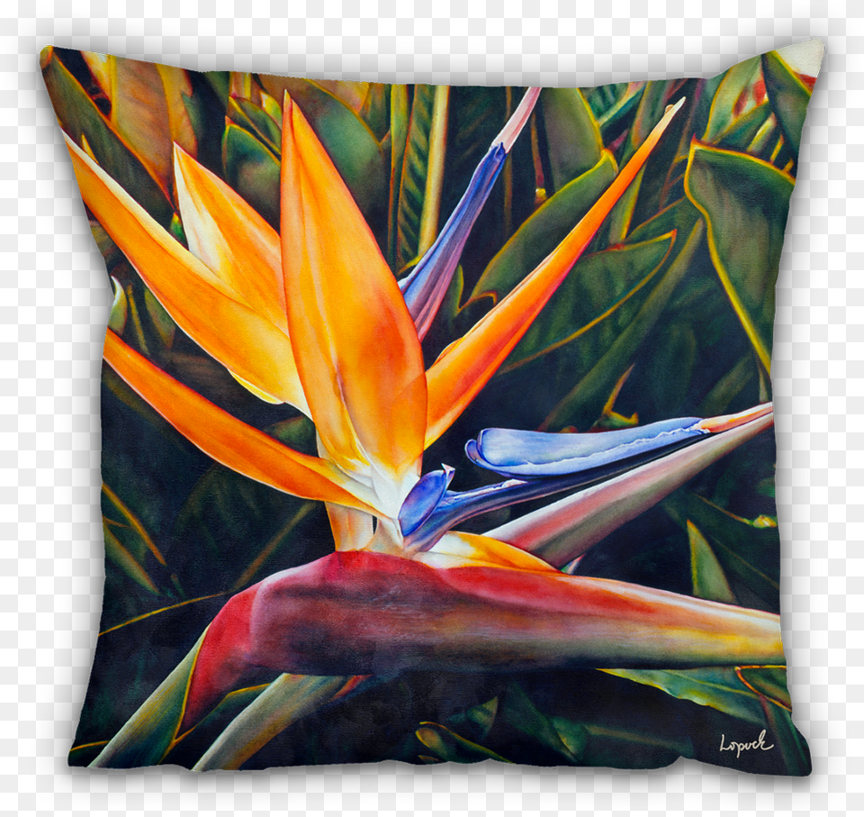 Weekend Bird, Cushion, Home Decor, Flower, Plant Png