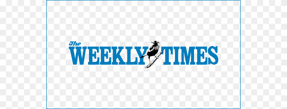Weekly Times Logo, People, Person, Animal, Bird Free Png