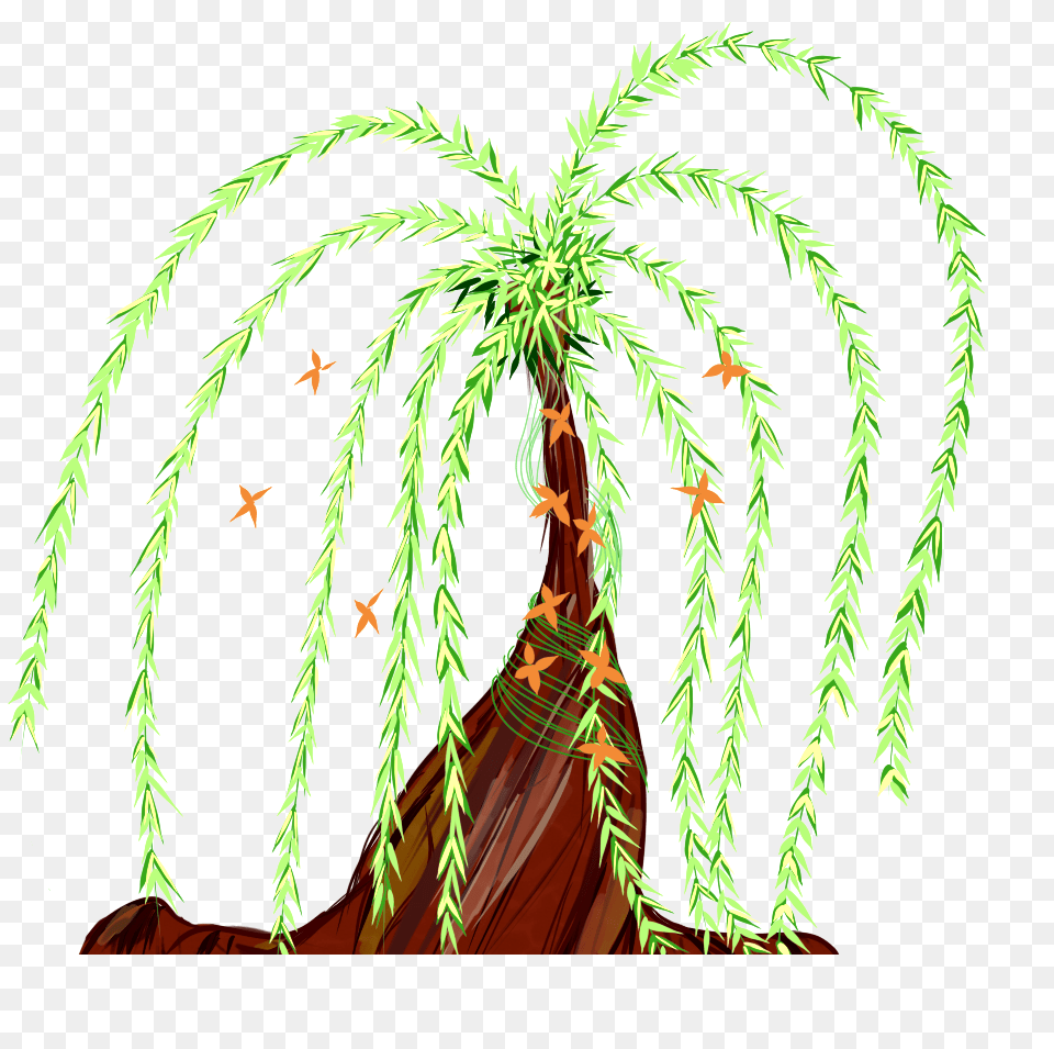 Weeping Willow Practice, Plant, Tree, Vegetation, Jungle Png Image