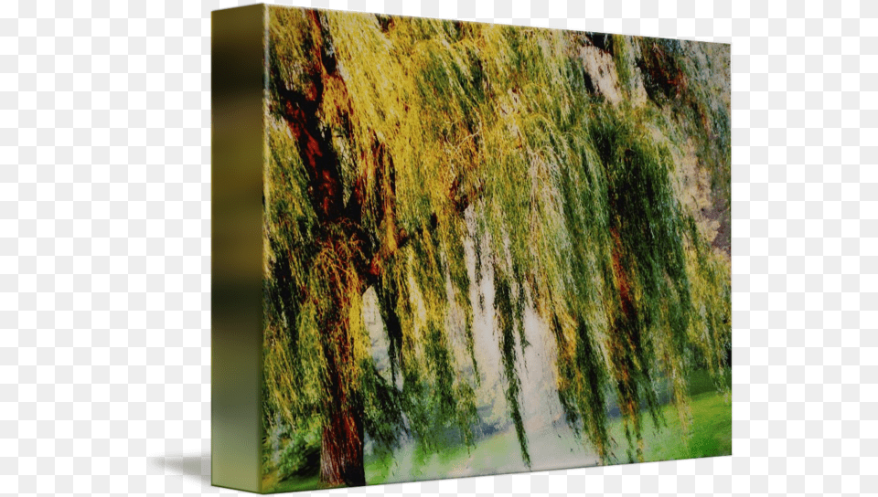Weeping Willow Tree Ii Weeping Willow Tree Painterly Monet Impressionist Dreams, Plant, Vegetation, Computer Hardware, Electronics Free Transparent Png