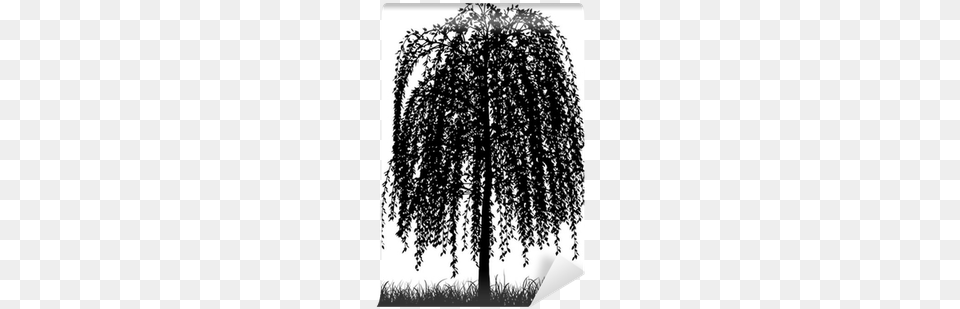 Weeping Willow Tree Silhouette, Plant, Chandelier, Lamp, Tree Trunk Png Image