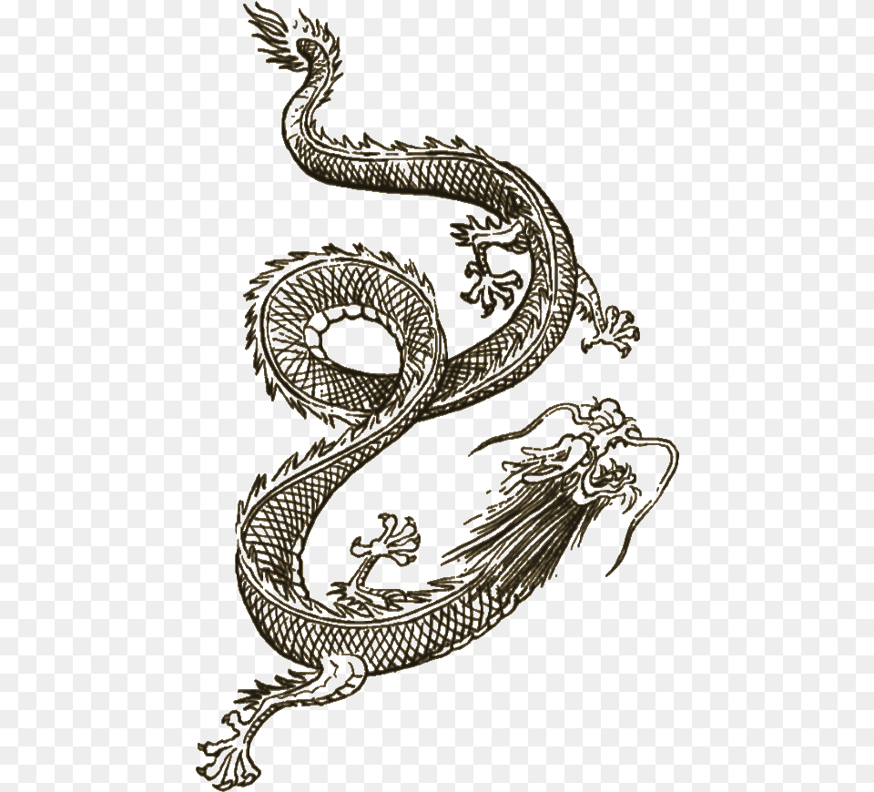 Wei Shen Dragon Tattoo, Pattern, Animal, Bird Png Image